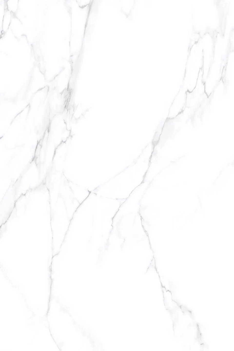 Lamar Colarado White