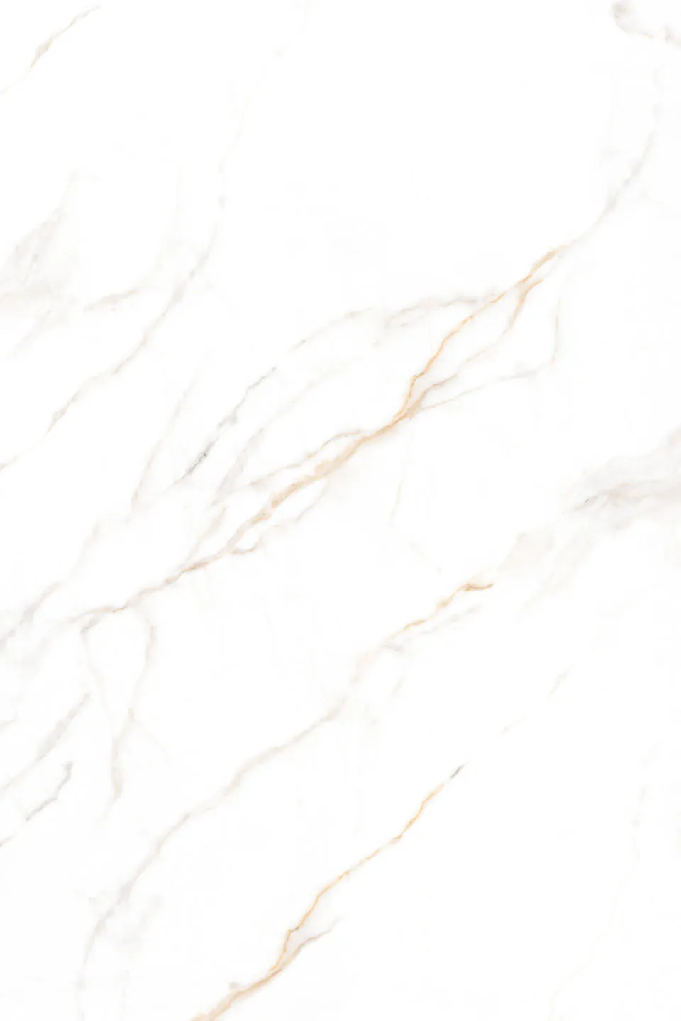 Lamar Calacatta Derma